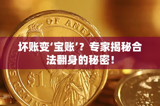 北京坏账变‘宝账’？专家揭秘合法翻身的秘密！