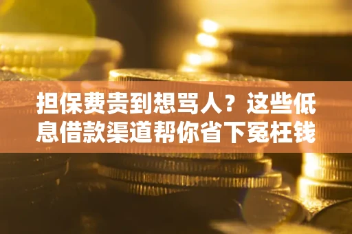 北京担保费贵到想骂人？这些低息借款渠道帮你省下冤枉钱