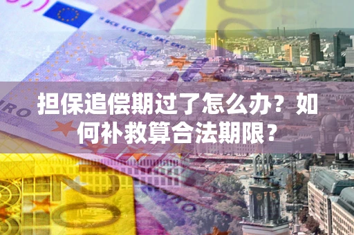 北京担保追偿期过了怎么办？如何补救算合法期限？
