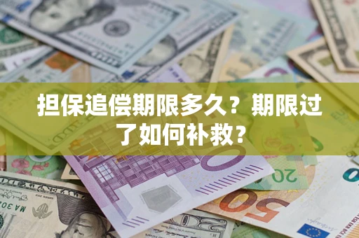 北京担保追偿期限多久？期限过了如何补救？