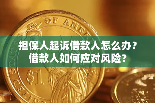 北京担保人起诉借款人怎么办？借款人如何应对风险？