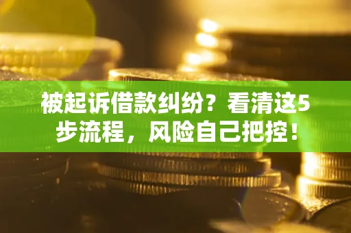 北京被起诉借款纠纷？看清这5步流程，风险自己把控！
