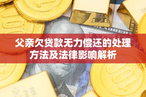 北京父亲欠贷款无力偿还的处理方法及法律影响解析